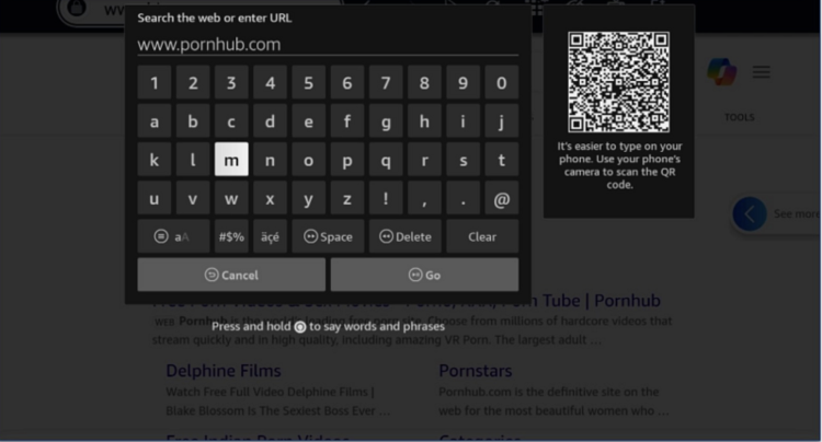 Screenshot showing how to input a web address into Silk