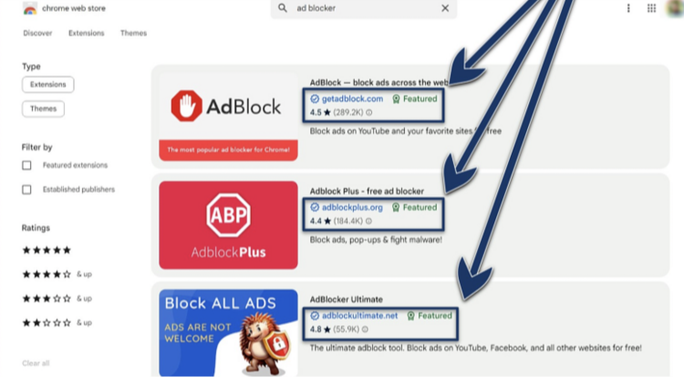 Screenshot of the Chrome Web Store with the search results for 