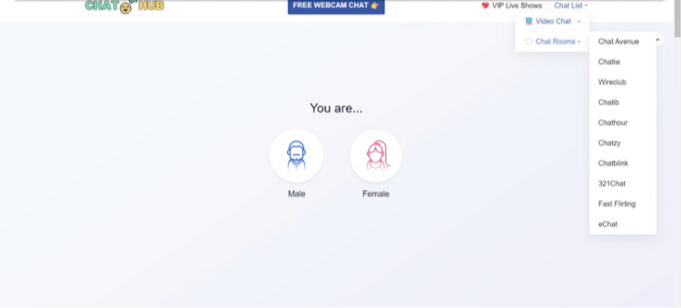 Screenshot of ChatHub's homepage