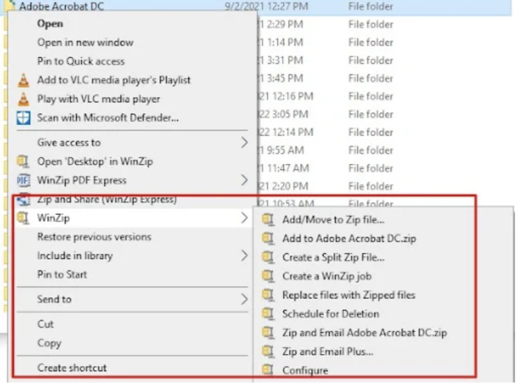 WinZip-security