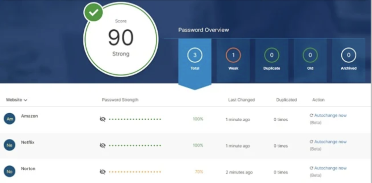 Screenshot of the Safety Dashboard in Norton's password manager