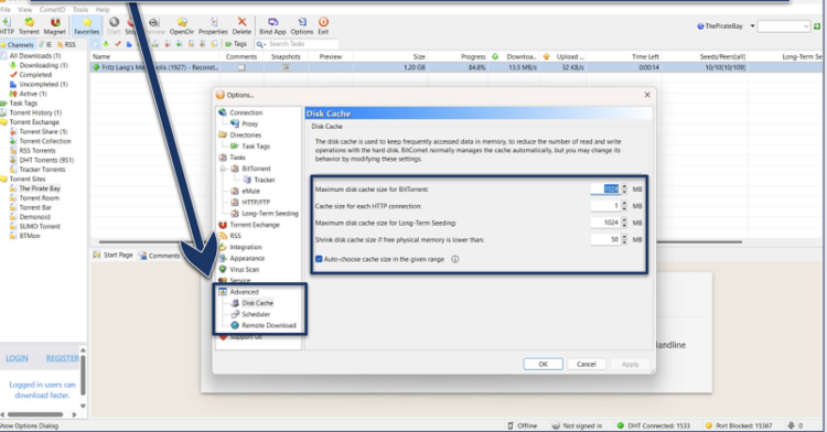 Screenshot of BitComet's advanced Disk Cache and long-term seeding settings